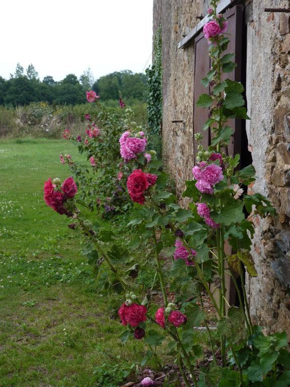 Chambres d'hôtes Le Château Rouge Saint-Germain-sur-Moine Extérieur photo